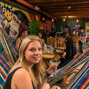 Hostel Purple Monkey, Medellín